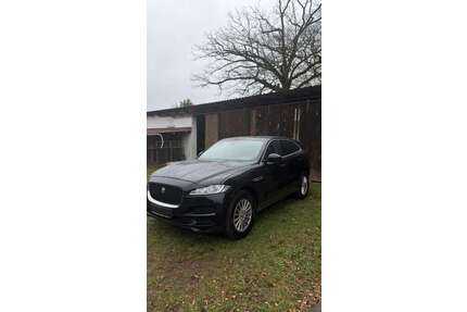 Jaguar F-Pace Gebrauchtwagen