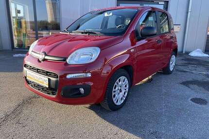 Fiat Panda Gebrauchtwagen