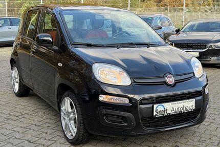 Fiat Panda Gebrauchtwagen