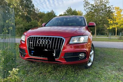 Audi Q5 Gebrauchtwagen
