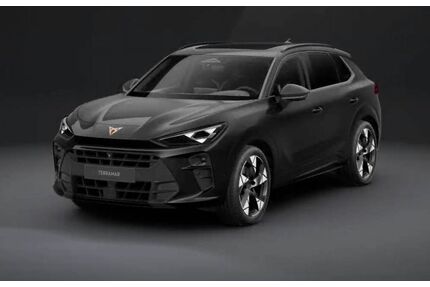 Cupra Terramar Gebrauchtwagen