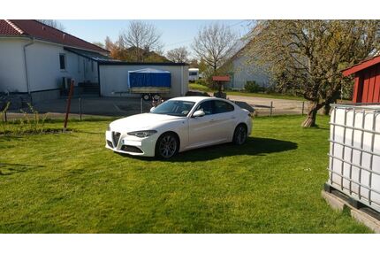 Alfa Romeo Giulia Gebrauchtwagen