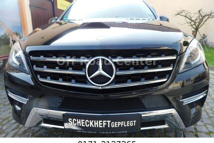 Mercedes-Benz ML 350 Gebrauchtwagen