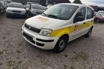 Fiat Panda Gebrauchtwagen