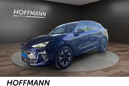 Cupra Terramar Gebrauchtwagen
