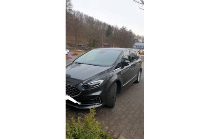 Ford S-Max Gebrauchtwagen