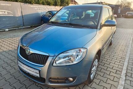 Skoda Fabia Gebrauchtwagen