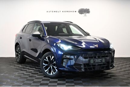 Cupra Terramar Gebrauchtwagen