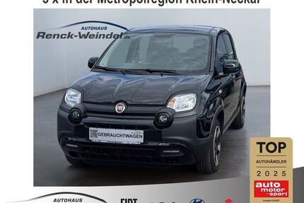 Fiat Panda Gebrauchtwagen