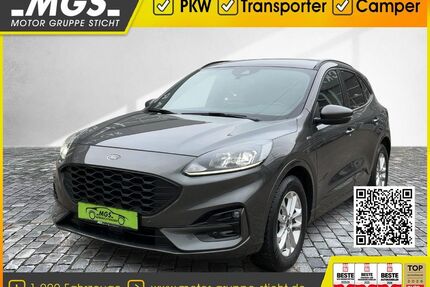 Ford Kuga Gebrauchtwagen
