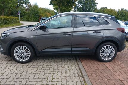 Opel Grandland (X) Gebrauchtwagen