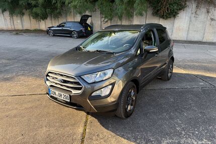 Ford EcoSport Gebrauchtwagen