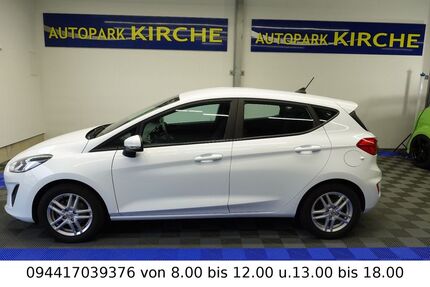 Ford Fiesta Gebrauchtwagen