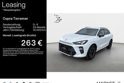 Cupra Terramar Gebrauchtwagen