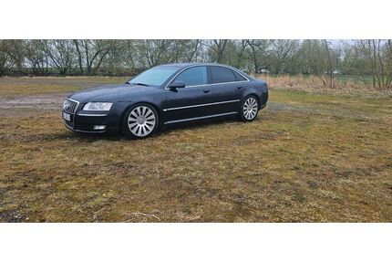 Audi A8 Gebrauchtwagen