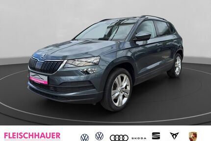 Skoda Karoq Gebrauchtwagen
