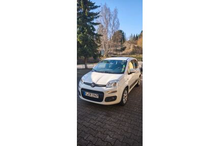 Fiat Panda Gebrauchtwagen