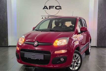 Fiat Panda Gebrauchtwagen