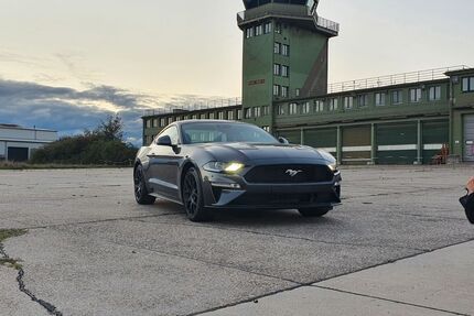 Ford Mustang Gebrauchtwagen