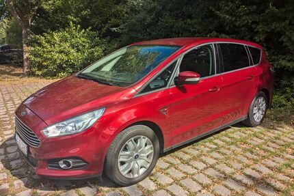 Ford S-Max Gebrauchtwagen