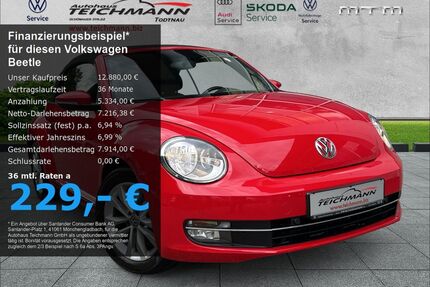 VW Beetle Gebrauchtwagen