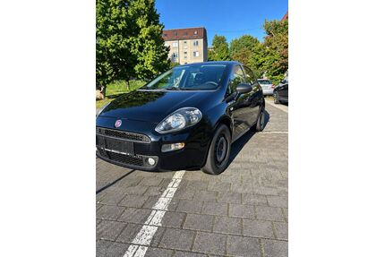 Fiat Punto Gebrauchtwagen
