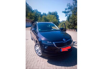 Skoda Karoq Gebrauchtwagen