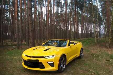 Chevrolet Camaro Gebrauchtwagen