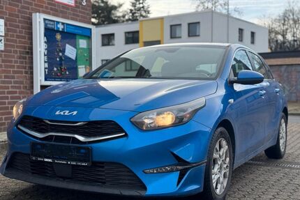 Kia ceed / Ceed Gebrauchtwagen