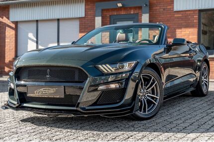 Ford Mustang Gebrauchtwagen