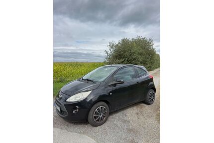 Ford Ka/Ka+ Gebrauchtwagen
