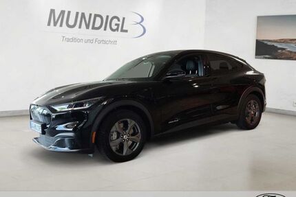 Ford Mustang Mach-E Gebrauchtwagen