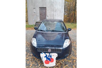 Fiat Punto Gebrauchtwagen