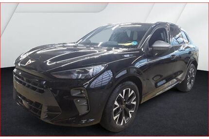 Cupra Terramar Gebrauchtwagen