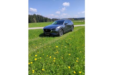 Mazda CX-30 Gebrauchtwagen