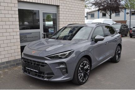 Cupra Terramar Gebrauchtwagen