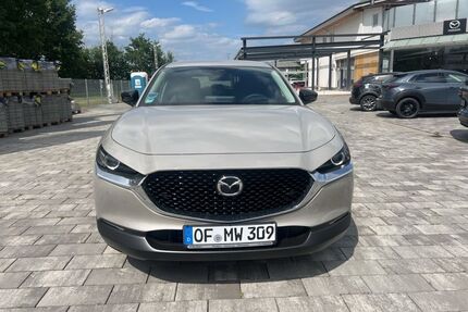 Mazda CX-30 Gebrauchtwagen
