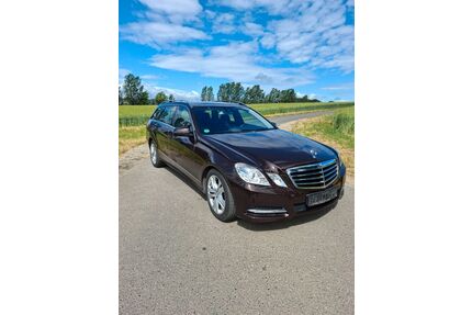 Mercedes-Benz E 220 Gebrauchtwagen