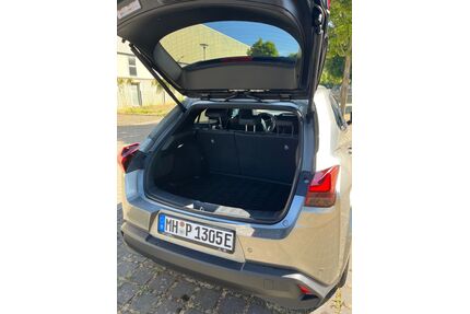 Lexus UX Gebrauchtwagen