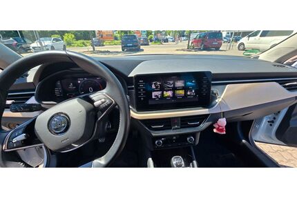 Skoda Kamiq Gebrauchtwagen