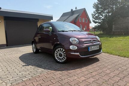 Fiat 500 Gebrauchtwagen