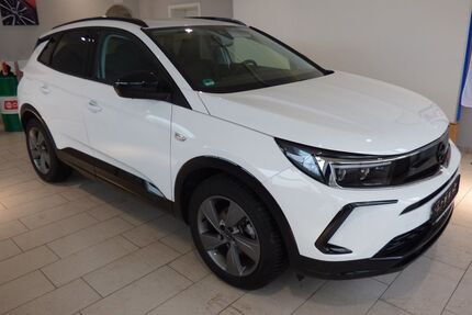 Opel Grandland (X) Gebrauchtwagen
