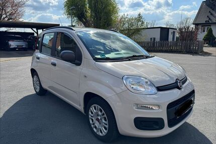 Fiat Panda Gebrauchtwagen