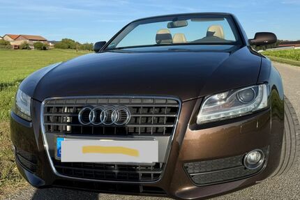 Audi A5 Gebrauchtwagen