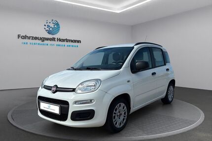Fiat Panda Gebrauchtwagen