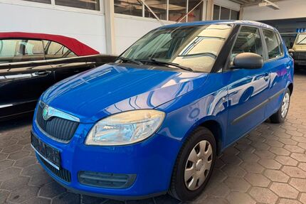 Skoda Fabia Gebrauchtwagen