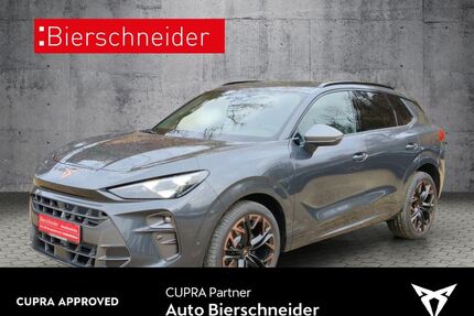 Cupra Terramar Gebrauchtwagen
