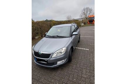 Skoda Fabia Gebrauchtwagen