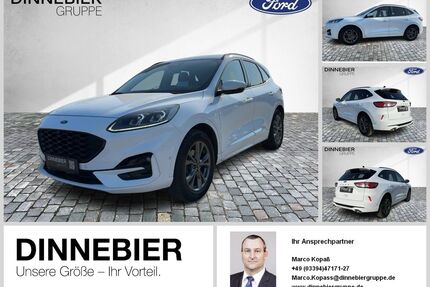 Ford Kuga Gebrauchtwagen