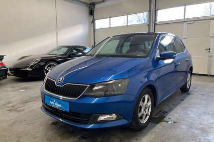 Skoda Fabia Gebrauchtwagen